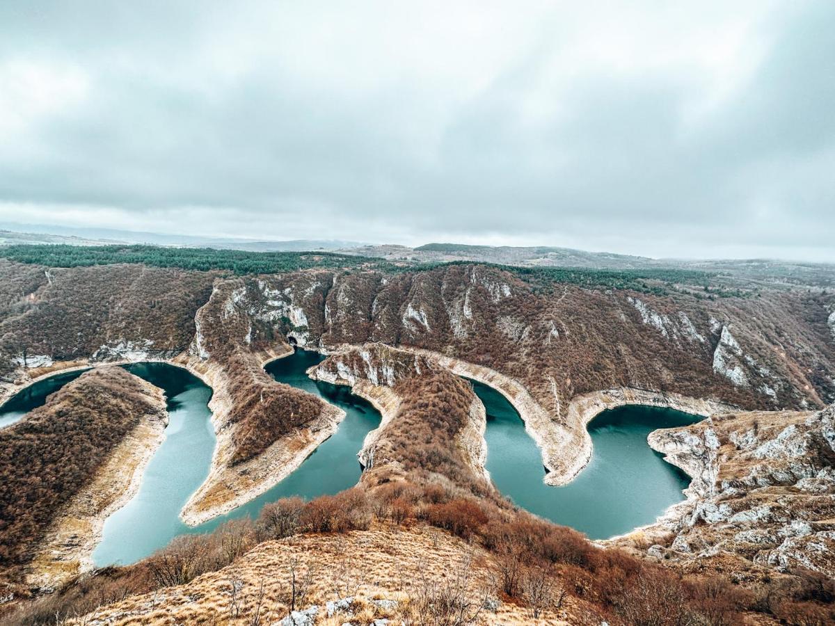 Vila Petunija Sjenica Luaran gambar